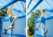 Load image into Gallery viewer, Incline Monkey Bars Attachment
